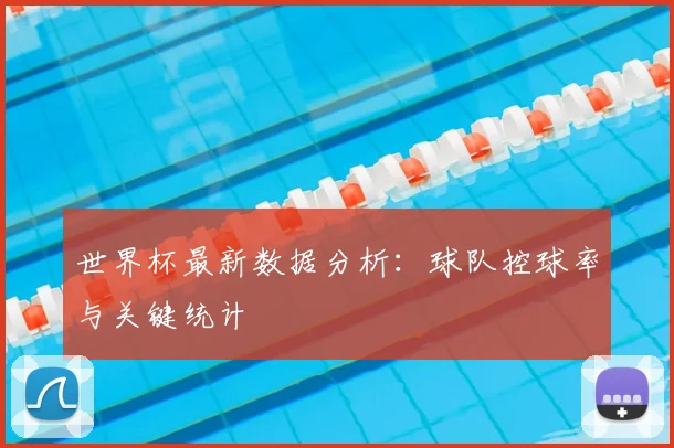 世界杯最新数据分析:球队控球率与关键统计